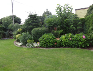 Konkurs "Zielony Poznań" rozstrzygnięty !