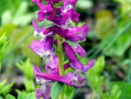 Materiał archiwalny - Formularz wniosku o wydanie decyzji o środowiskowych uwarunkowaniach (zał. nr 3.)