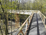 Można już spacerować w koronach drzew!