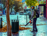 Na terenie Poznania obowiązuje kategoryczny zakaz stosowania dmuchaw do liści!