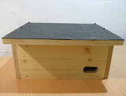 Nowe domy dla Jerzyków!