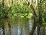 Nowe święto - Europejski Dzień NATURA 2000!