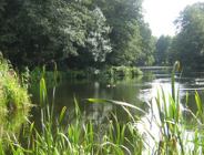 Nowe zasady wydawania zezwoleń na usuwanie drzew lub krzewów