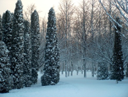 Nowelizacja ustawy Prawo ochrony środowiska