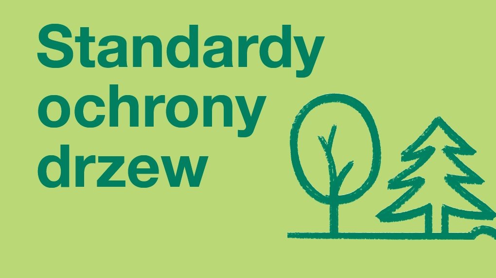 Standardy ochrony drzew - grafika artykułu