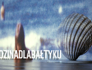 Ocalmy Bałtyk, nim zatęsknimy. Godzina dla Ziemi WWF 2021