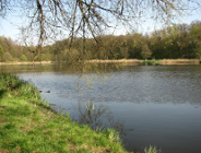 Ocena jakości wody pobranej w dniu 13.05.2008 r.z kąpielisk zorganizowanych na wodach powierzchniowych zlokalizowanych na terenie Poznania