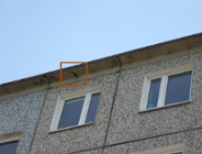 Ochrona jerzyka pospolitego