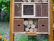 Oferta realizacji zadania publicznego