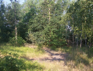 Ogólnopolski Konkurs Fotograficzny "Las w moim obiektywie 2006"