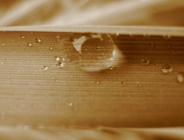 Ogólnopolski konkurs fotograficzny "DESZCZOWA PIOSENKA"