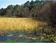 Opłaty w Wielkopolskim Parku Narodowym