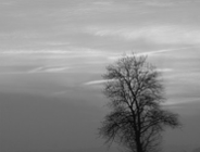 Pamiętaj o opłacie za korzystanie ze środowiska za II półrocze 2012 r.