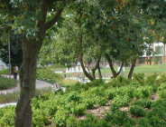 Park Stare Koryto Warty doceniony przez Towarzystwo Urbanistów Polskich!