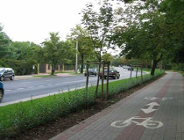 Pielęgnacja zieleni- kompendium