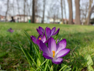 Pierwszy Dzień Wiosny