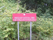 Plan zadań ochronnych dla obszaru Natura 2000 Biedrusko PLH300001