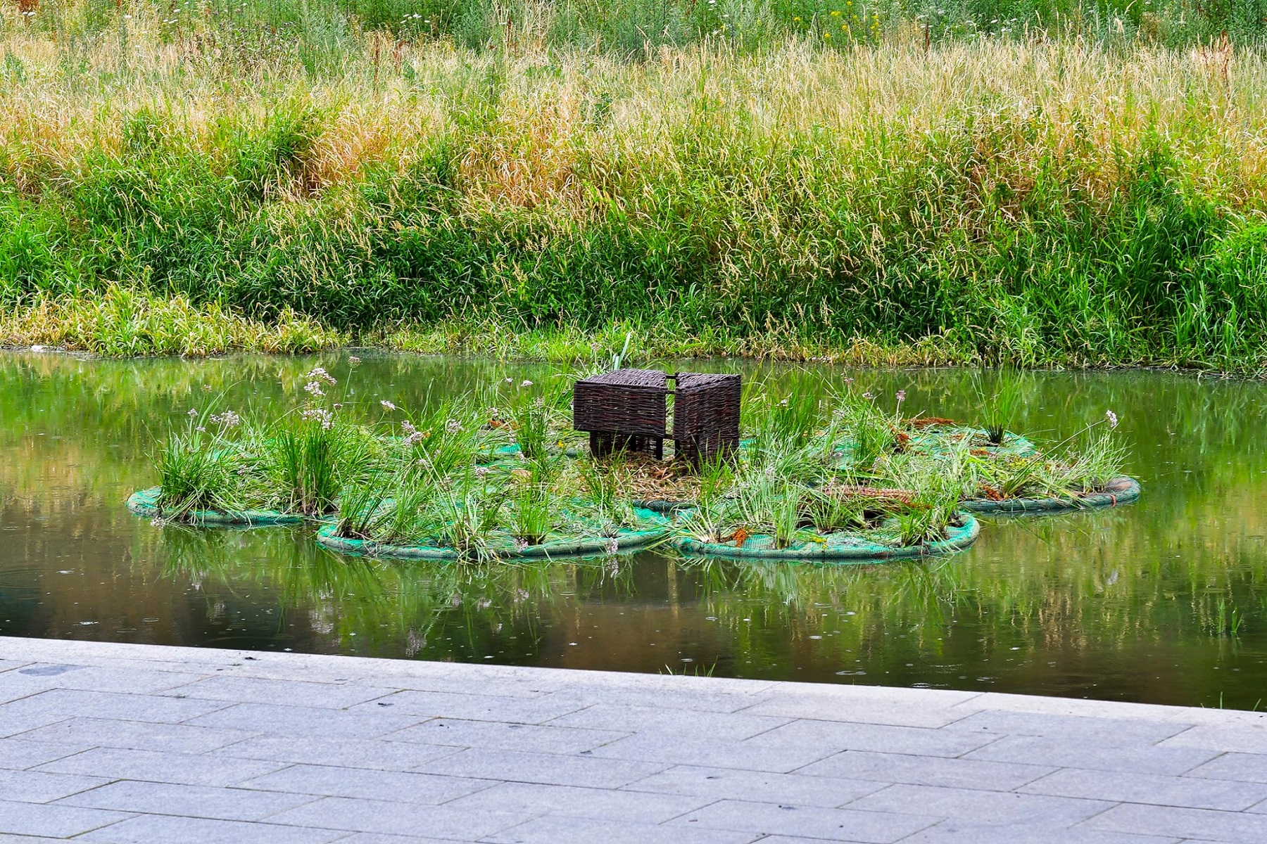 Pływające ogrody (fot. M. Strokowski)