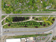 Poznań przyjął Standardy ochrony drzew