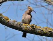 "Poznaniacy poznają przyrodę"