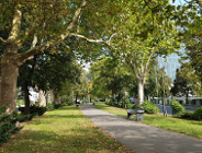 Poznańska adaptacja do zmian klimatu