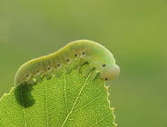 Poznańskie Dni Fotografii
