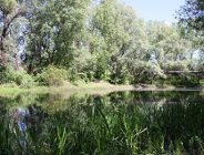 Program ochrony i zrównoważonego użytkowania różnorodności biologicznej