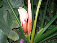 Projekt ustawy o zapobieganiu i naprawie szkód w środowisku