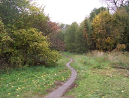 Projekt zmian w ograniczeniach emisji lotnych związków organicznych powstających w wyniku wykorzystywania rozpuszczalników organicznych w niektórych farbach, lakierach i preparatach do odnawiania pojazdów