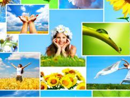 "Przedsiębiorco - zrób prezent sobie i środowisku!"