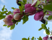 Prześledź zmiany, jakie wprowadza ustawa o infrastrukturze informacji przestrzennej