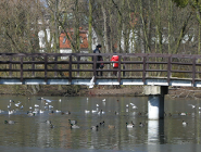 Przyłącz się do ZIMOWEGO PTAKOLICZENIA