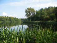 RDOŚ może odstąpić od zakazów, w stosunku do gatunków objętych ochroną