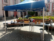 Rozpoczynamy tegoroczną akcję "Poznań liczy (na) jerzyki"