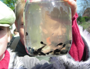 Rozstrzygnięcie konkursu dla poznańskich szkół