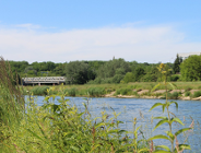 Ruszają warsztaty "Co szumi, ćwierka i skrzeczy na nadwarciańskich brzegach"