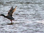 Rzeka to nie miejsce na odpady