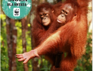 "S.O.S. dla świata" - wybierz się w daleką podróż z WWF