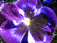 Seminarium pn."EMAS - ALTERNATYWA CZY UZUPEŁNIENIE DLA ISO 14001?"