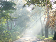 Sieć Natura 2000 - ustalona!