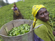Smacznie, zdrowo i... sprawiedliwie