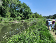 Spacer po Wilczym Młynie