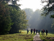 Spacer przyrodniczy po użytku ekologicznym "Dębina I"