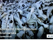 Społeczne Obserwatorium Środowiska (SOŚ)