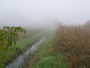 Sprawozdanie z działalności Wydziału Ochrony Środowiska UMP