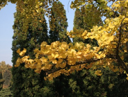 Sprawozdanie z działalności Wydziału Ochrony Środowiska UMP