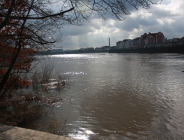 Sprawozdanie z działalności Wydziału Ochrony Środowiska UMP