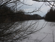 Sprawozdanie z działalności Wydziału Ochrony Środowiska UMP