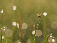 Sprawozdanie z działalności Wydziału Ochrony Środowiska UMP