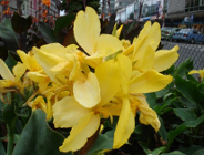 Sprawozdanie z działalności Wydziału Ochrony Środowiska UMP